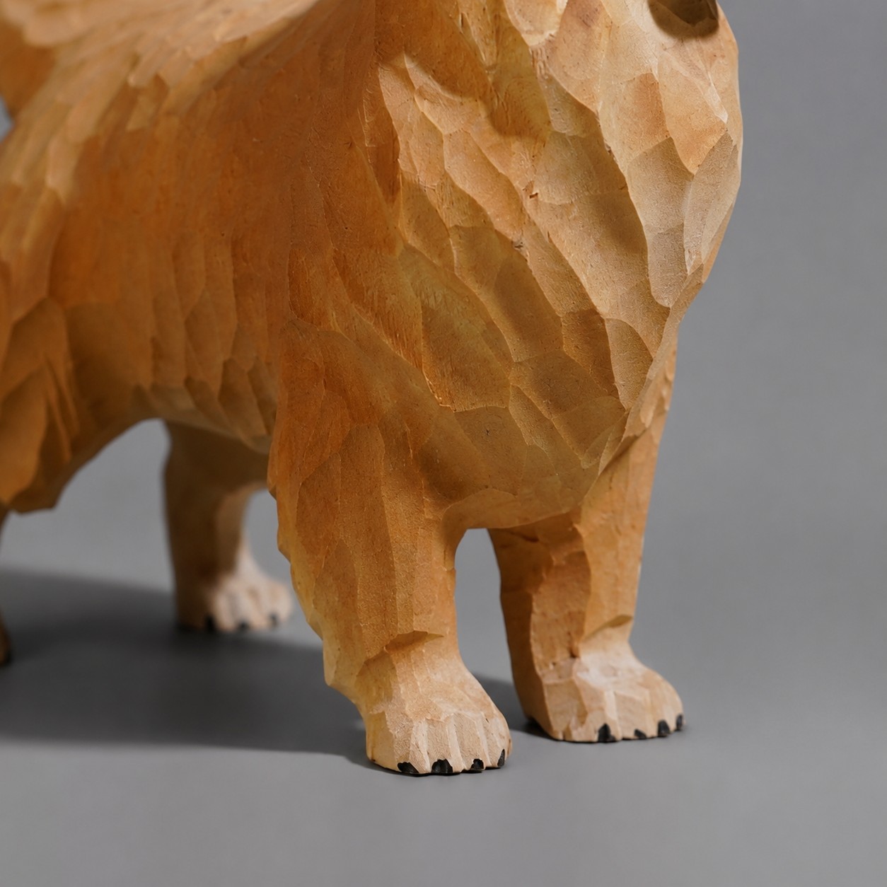 Detalle de la pose de la pata y de pie