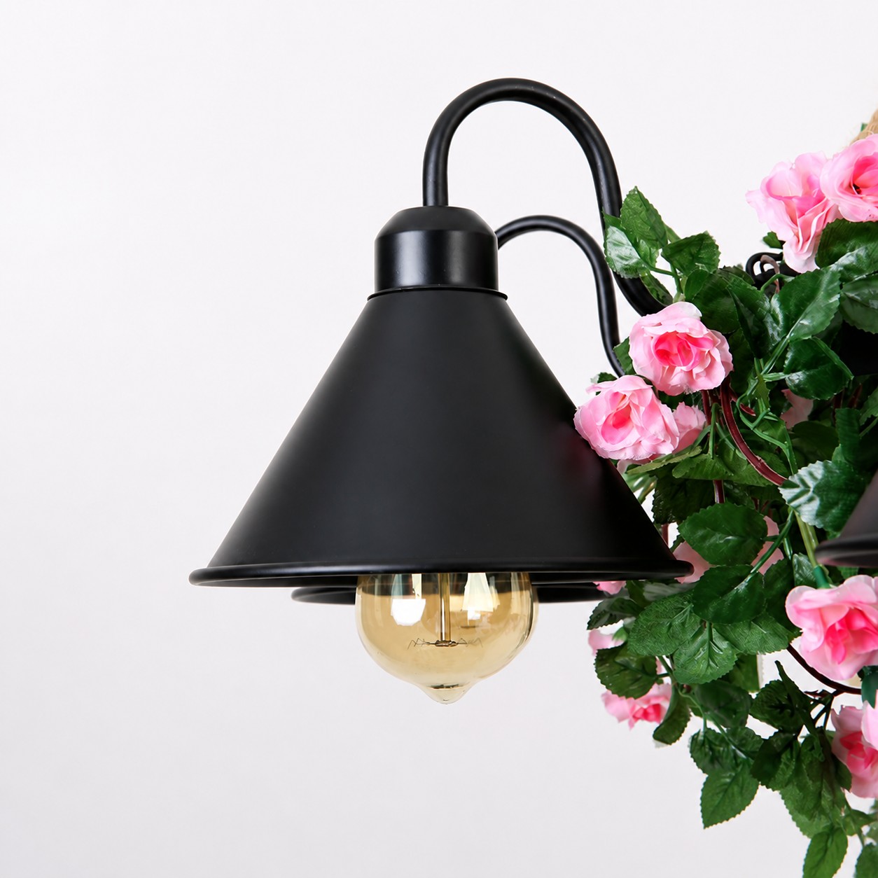 Fiore rosa in contrasto con la tonalità nera