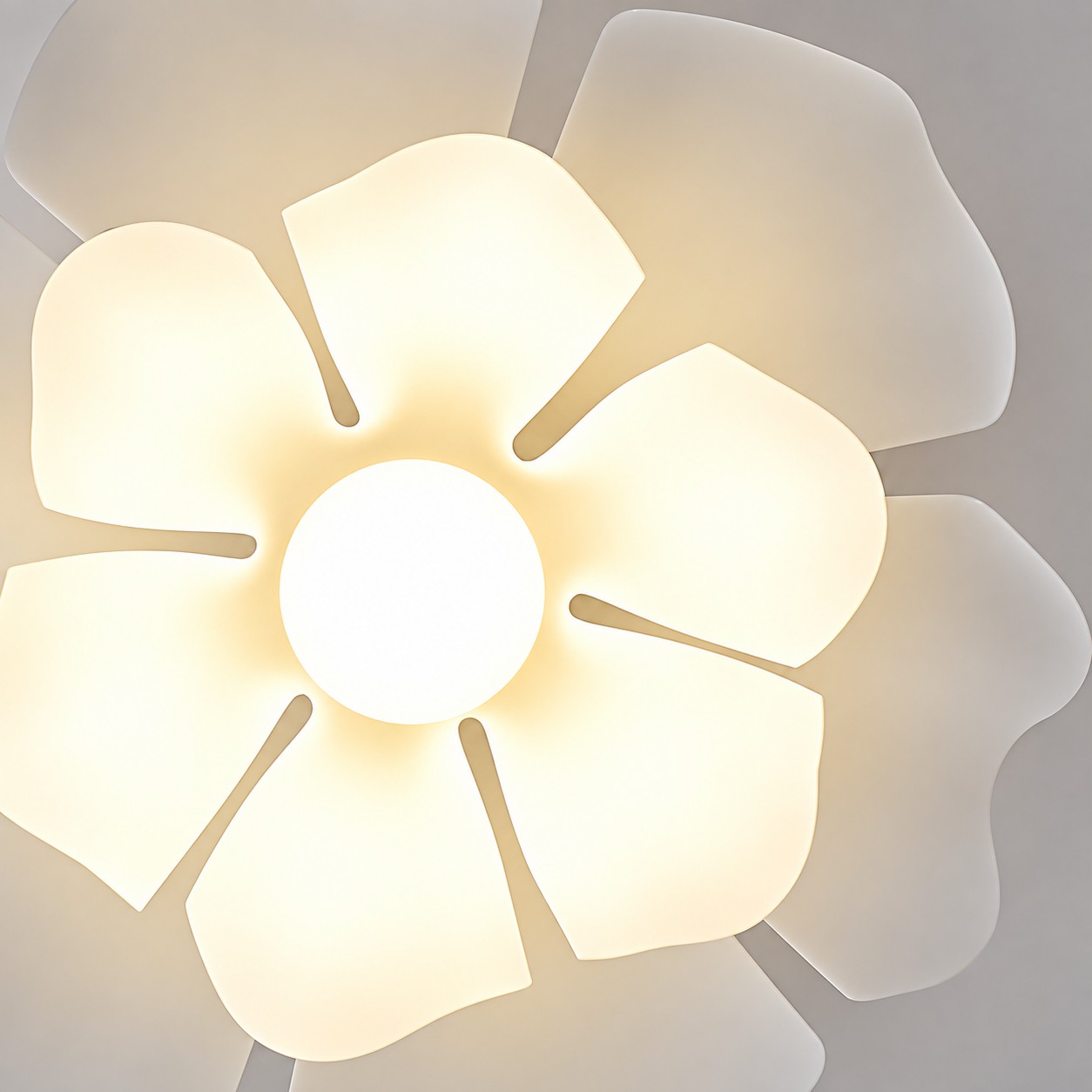 Warm light through the acrylic petals