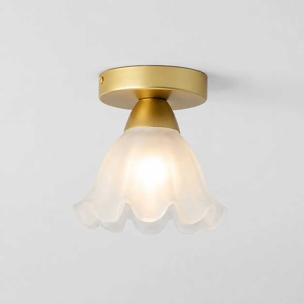 Żelazna szklana lampa sufitowa