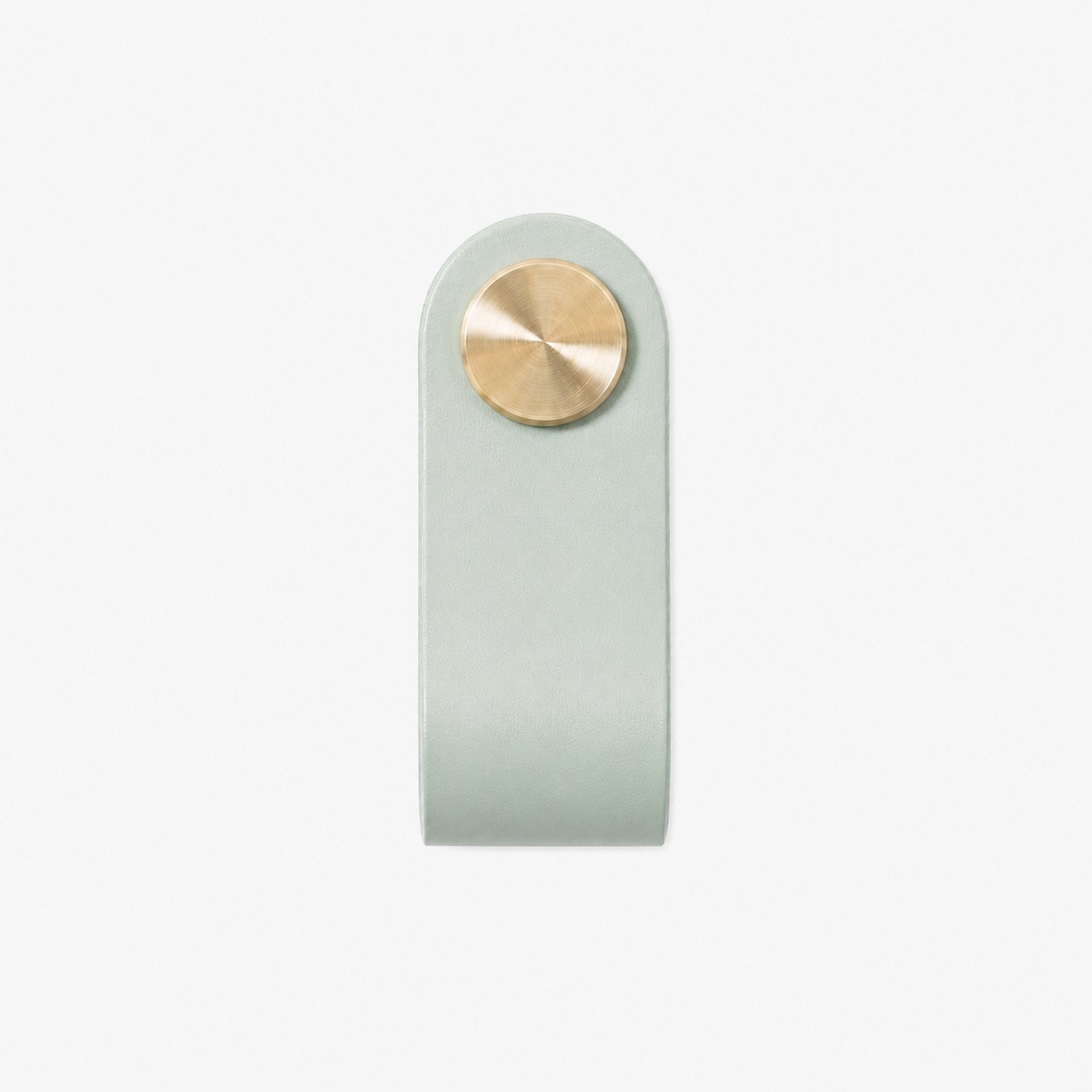 Mint Green Single Hole cowhide leather and brass cabinet pull handle