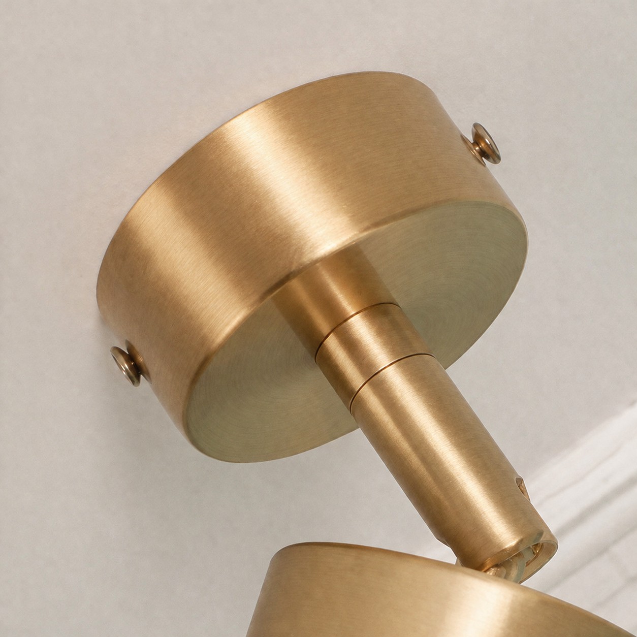 Brass canopy screw and brushed metal finish detail
